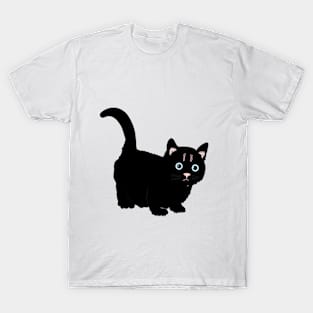 cat lover gifts T-Shirt